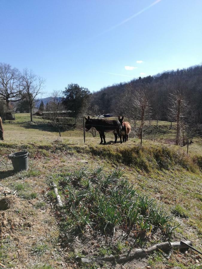 Casa Can Boix La Vall de Bianya Extérieur photo